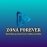Zona Forever 2 Español