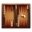 Backgammon Offline