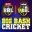 Big Bash Cricket English
