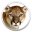 macOS Mountain Lion English