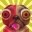 Talking Doge