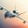 War Drone Português