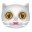 WinDriver Ghost English