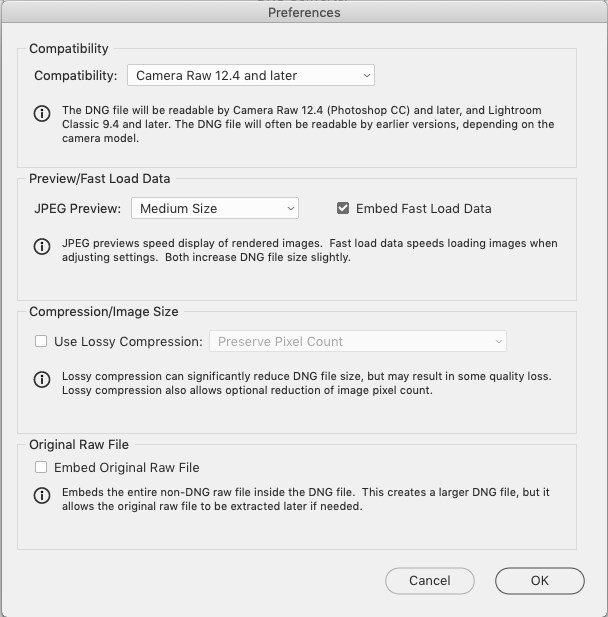 Adobe dng converter windows download