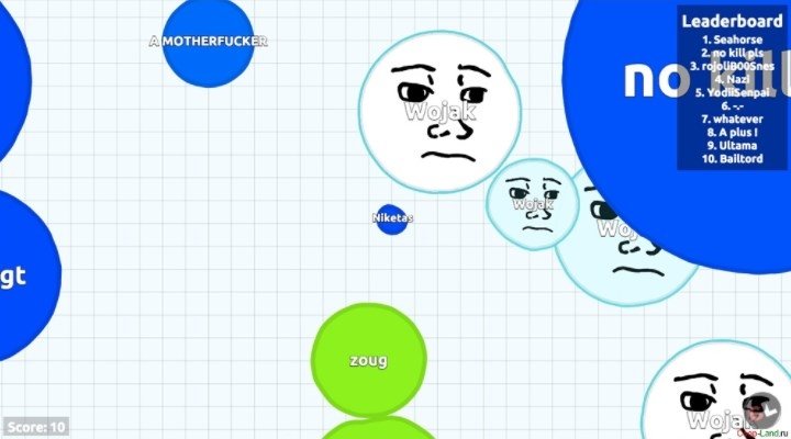 Agar.io – Matters of Opinion