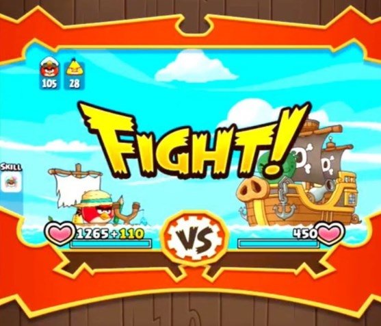 Angry birds fight