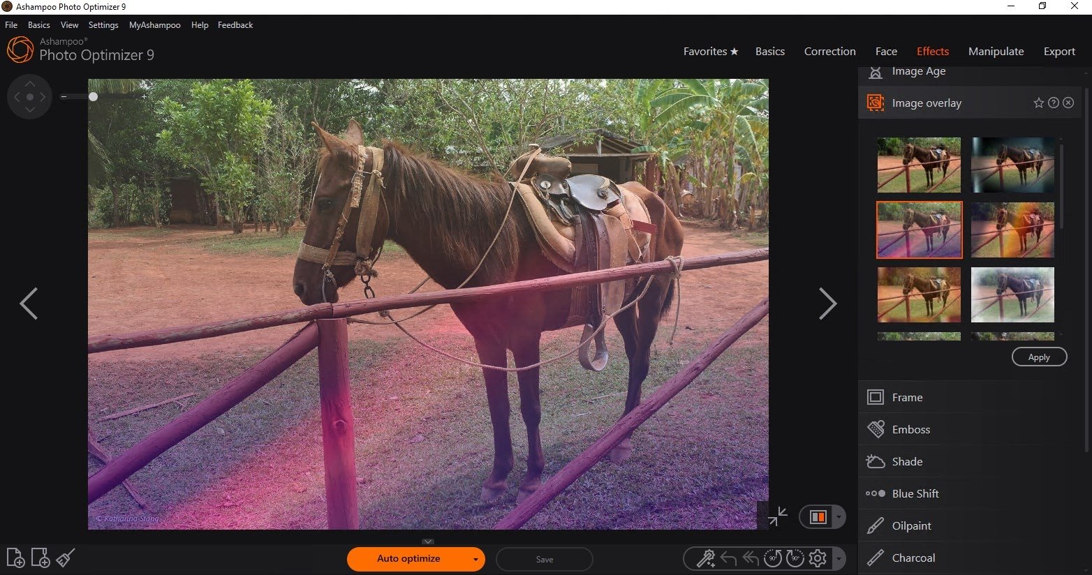 Ashampoo Photo Optimizer 9.3.7.35 instal the new version for android