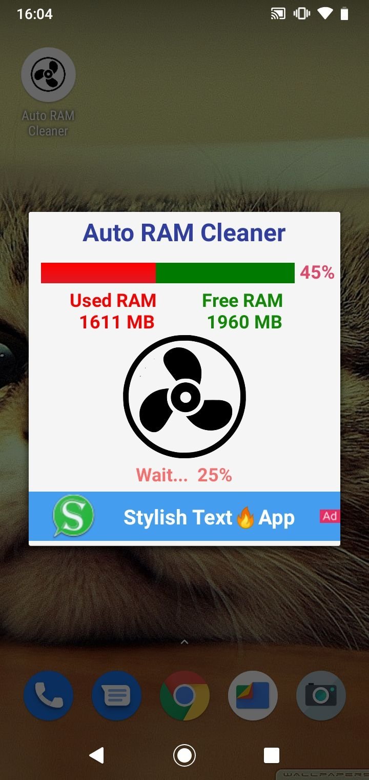ram cleaner pc