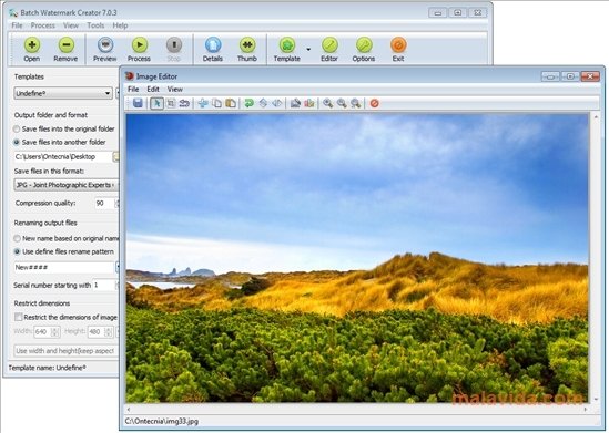Batch Watermark Creator 8.1 - Download for PC Free