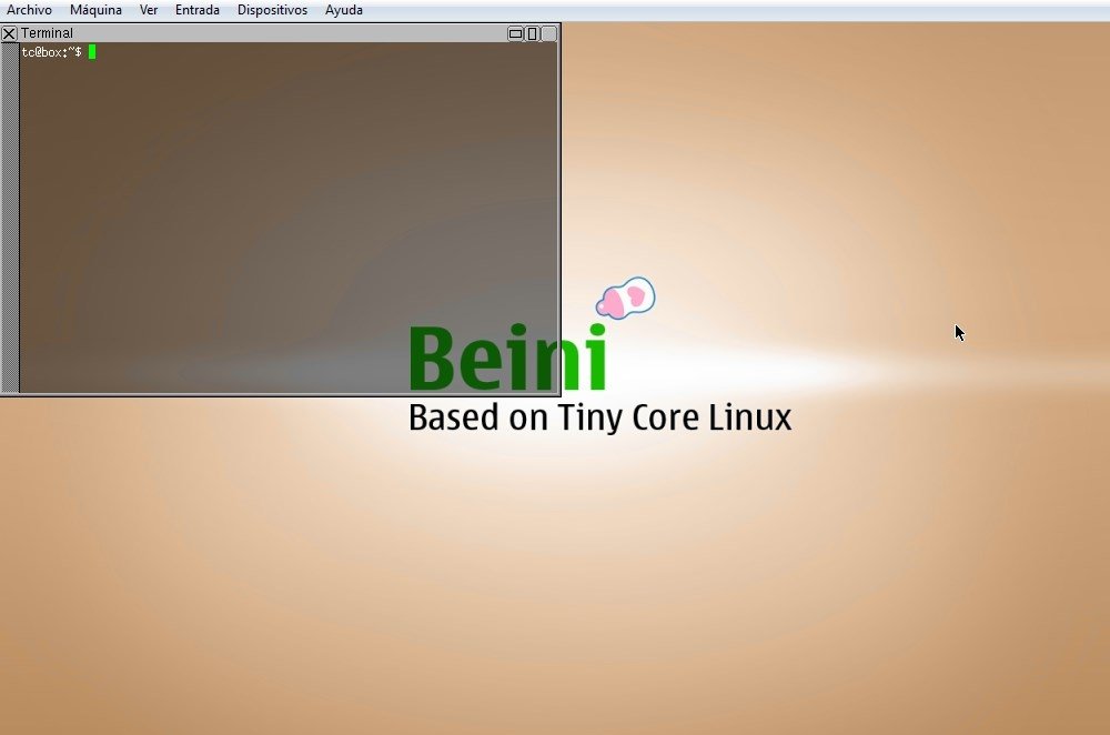 how to use beini 1.2.5