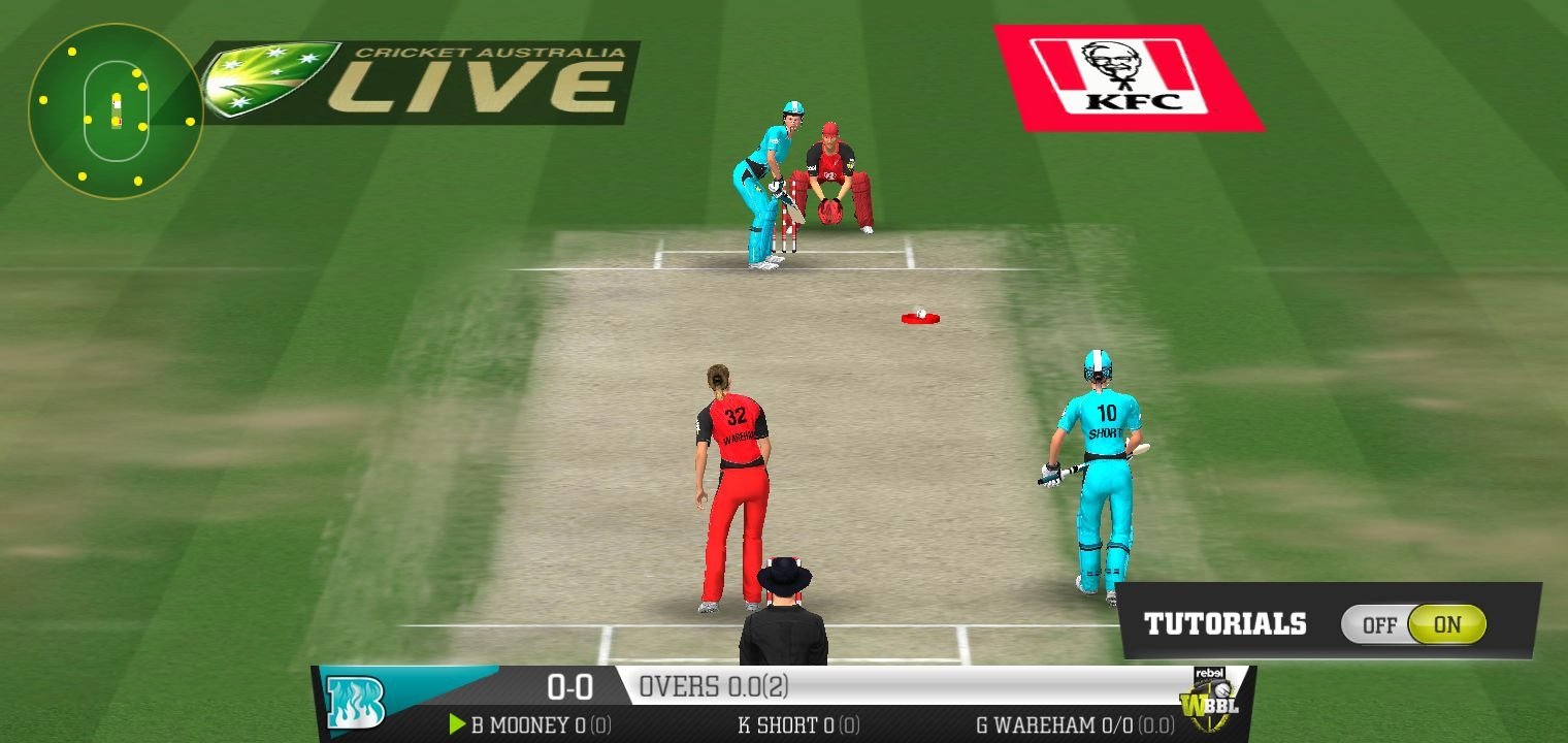 Big Bash Cricket 2.1 - Download for Android APK Free