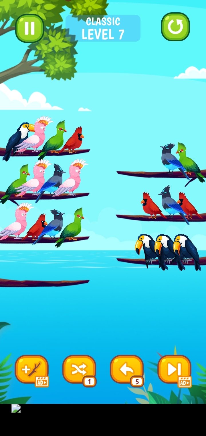 Potter Birds - Baixar APK para Android