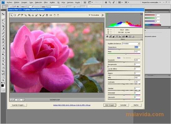 adobe photoshop download page and download the camera raw update