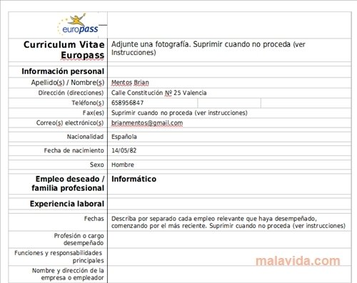 Europass Cv Template Free : Free Europass Curriculum Vitae Doc 114kb 2