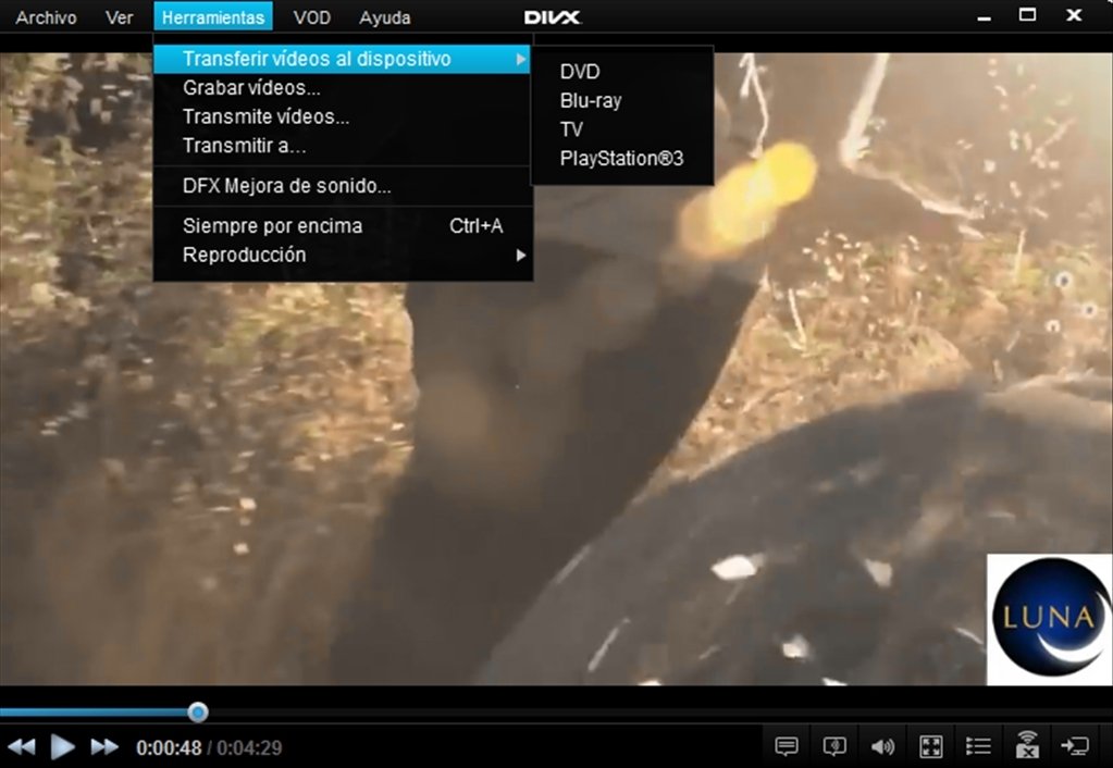 divx video player software