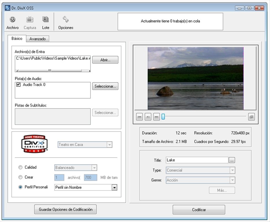 download divx converter