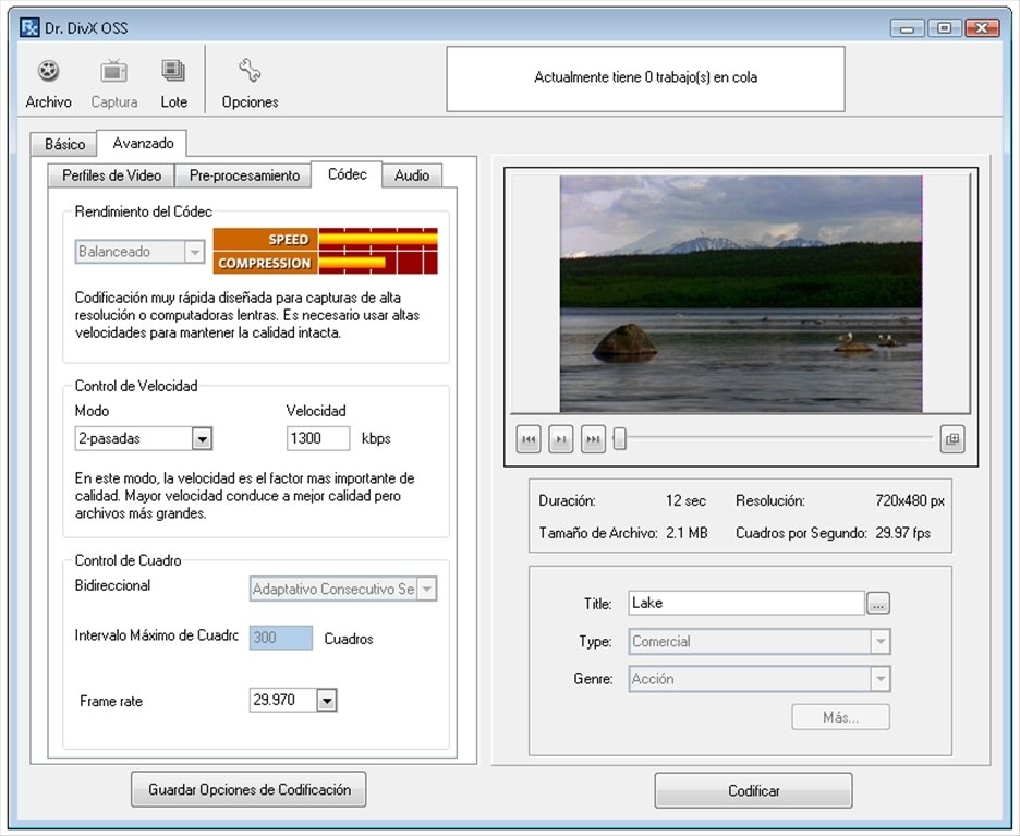 free download divx converter