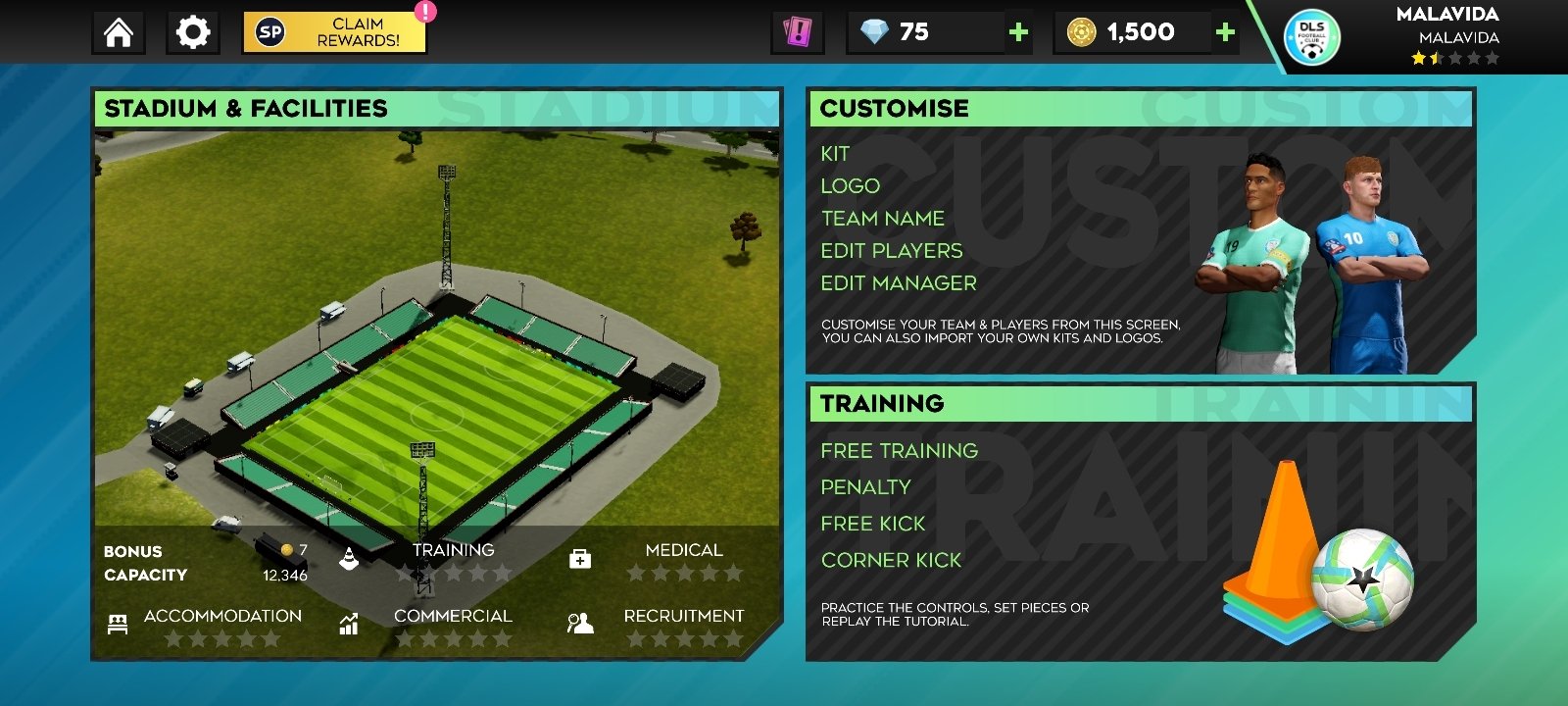 Soccer Football League 19 download the new version for windows