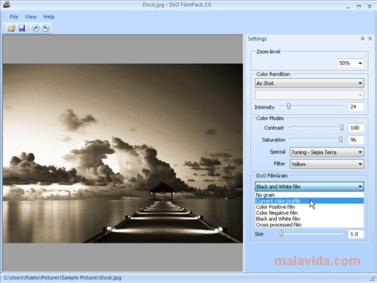 instal the new for windows DxO FilmPack Elite 7.0.1.473