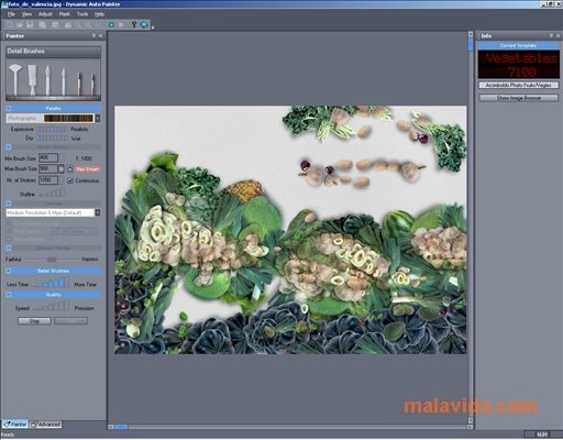Dynamic Auto Painter 6 12 Download For Pc Free