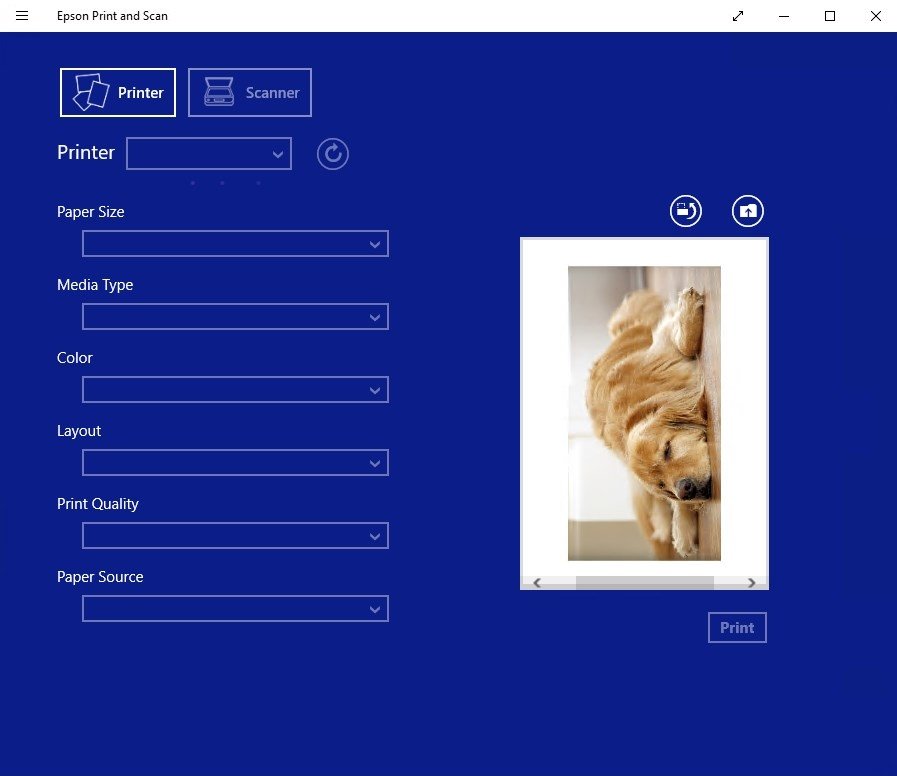 scan wsd epson windows 10