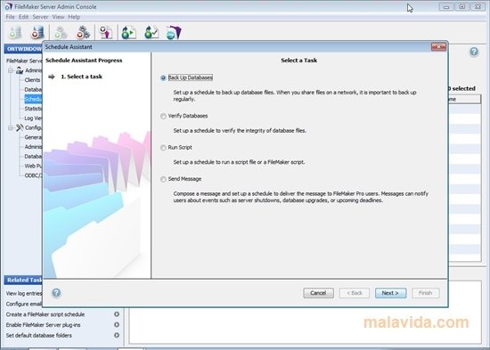 filemaker server 19 torrent