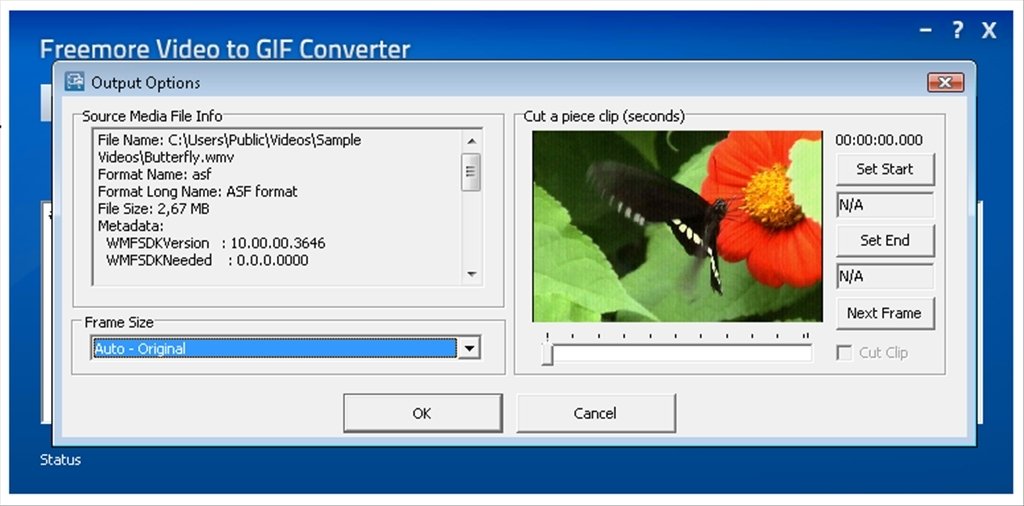 Download Freemore Video to GIF Converter 10.8 - Baixar para PC Grátis