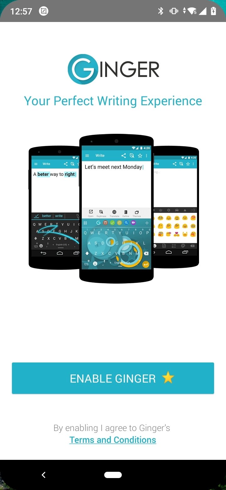 Ginger Keyboard Android 