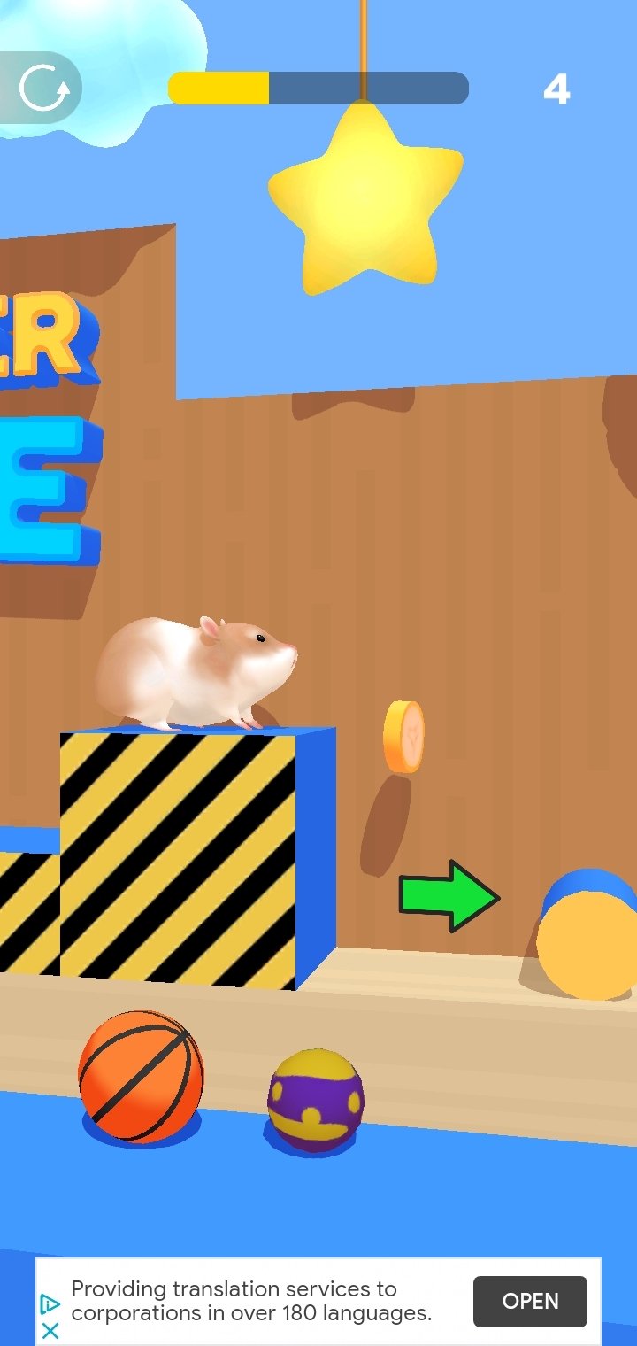 hamster maze with multiple ways out