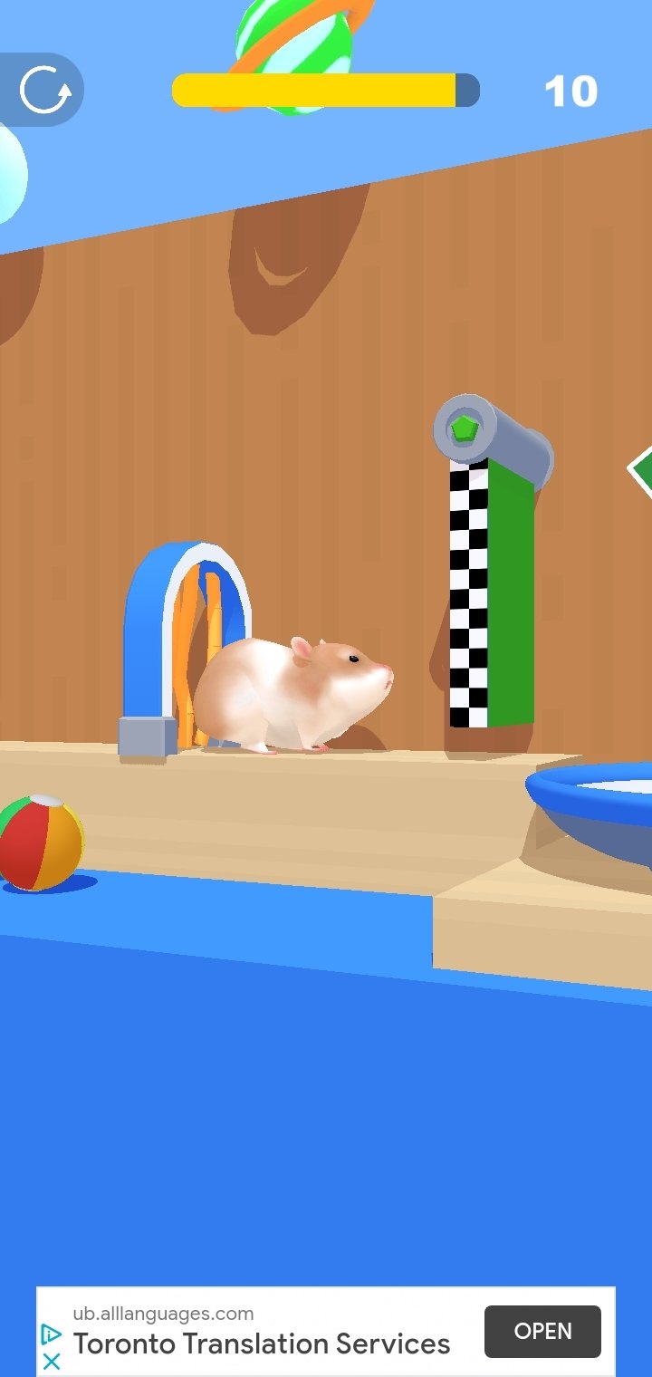 hamster maze race game