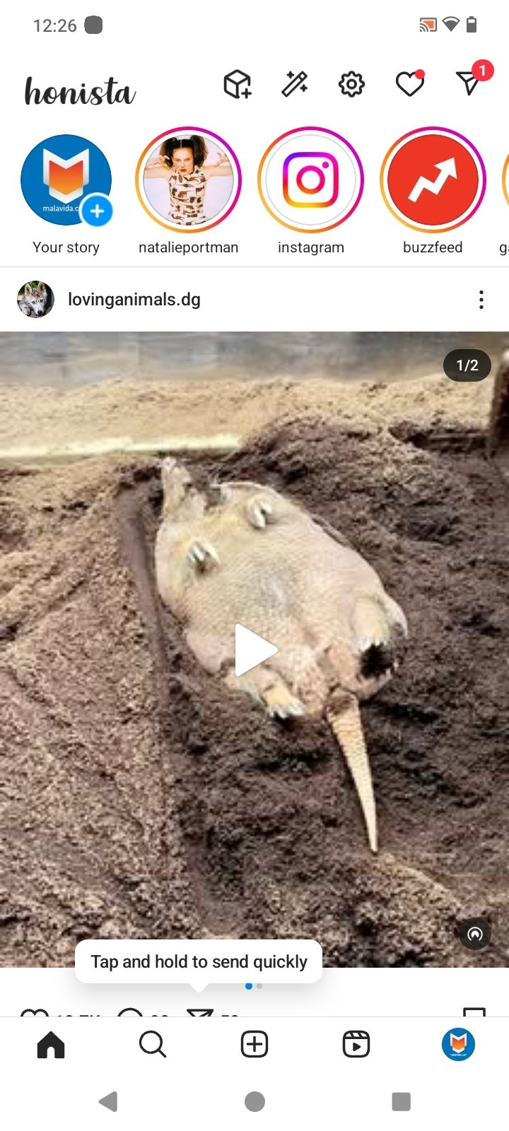 Honista APK Download For Android Free Honista APK Download For Android Free