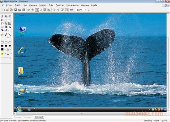 Hypersnap 9.1.3 free download