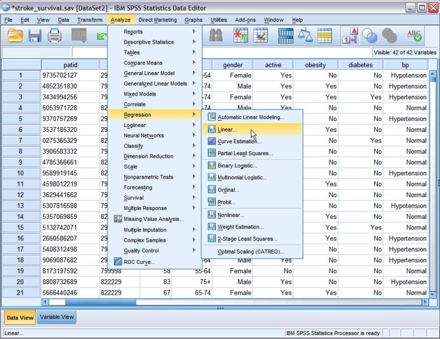 download ibm spss statistics 24 for students