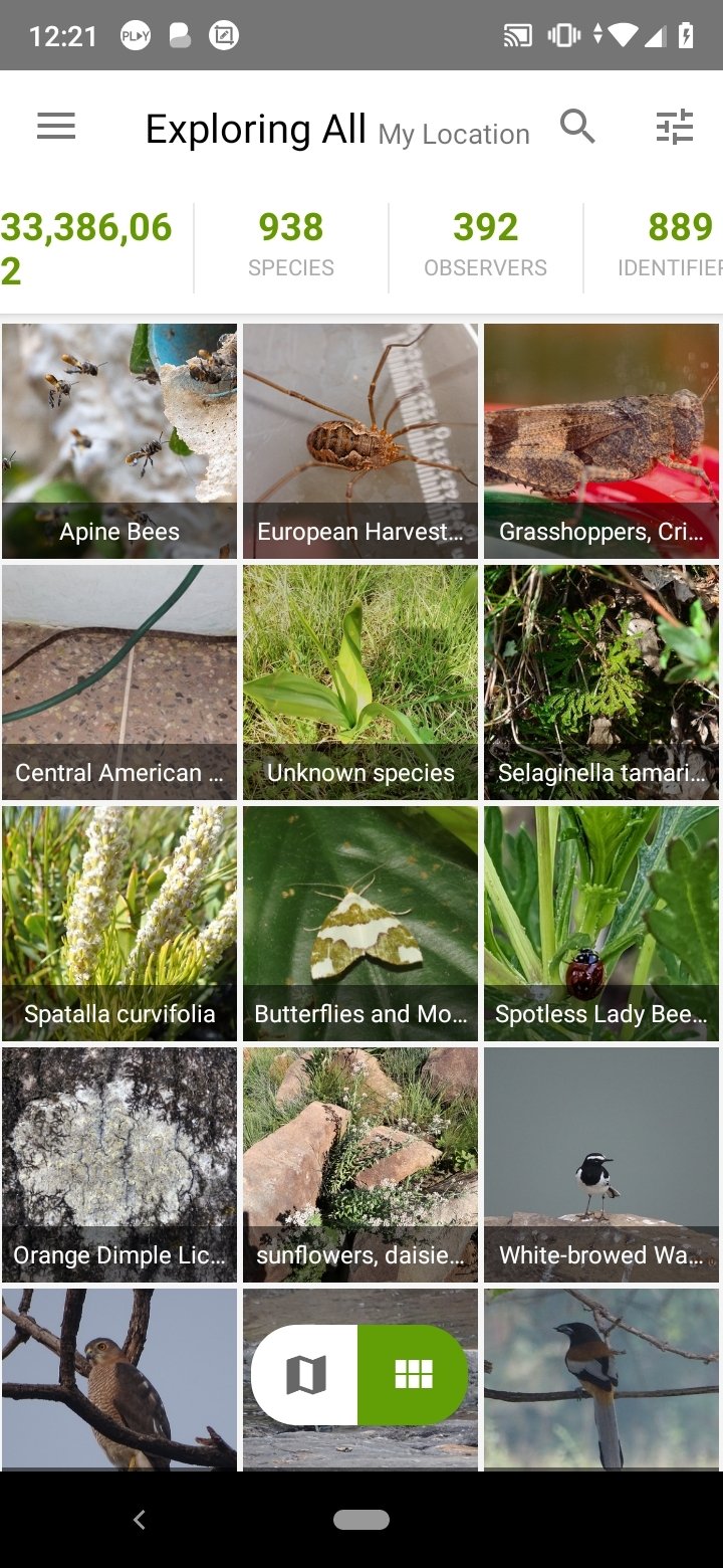 iNaturalist Android