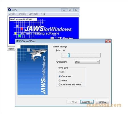 jaws for the blind software