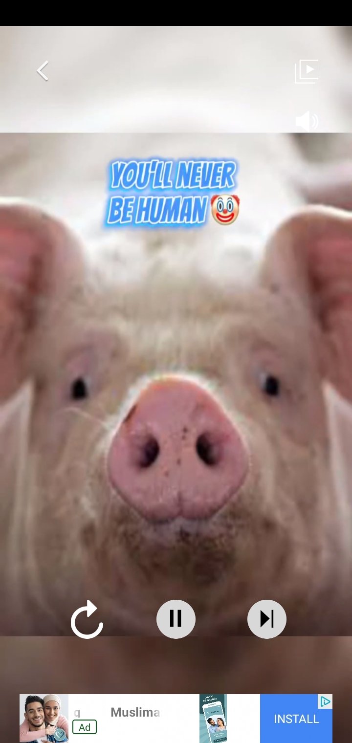 Baixar John Pork in Video Call 0.6 Android - Download APK Grátis