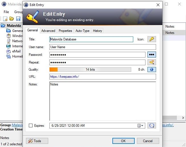 download keepass password safe professional edition (2.52)