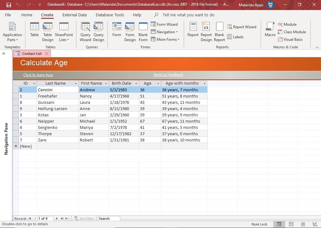 ms access runtime