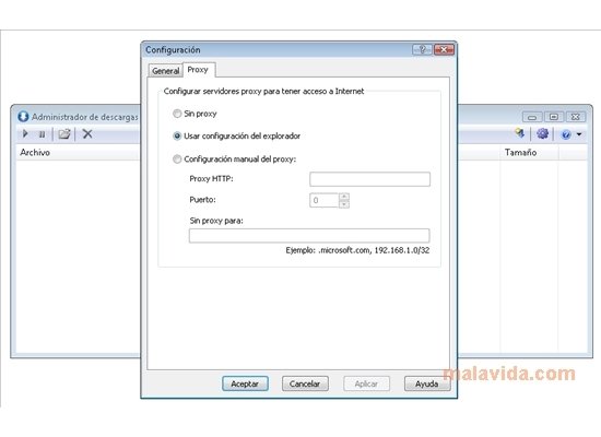 microsoft download manager ie 10