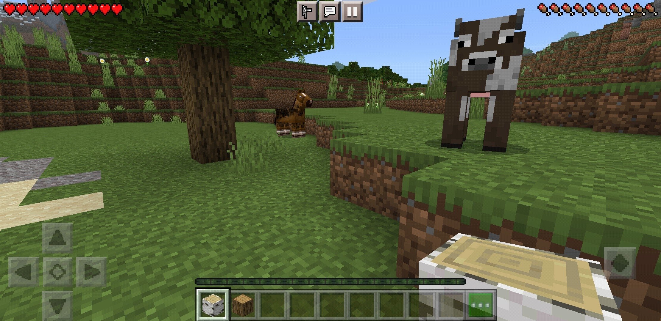 Minecraft 11.111.11.11 - Download for Android APK Free