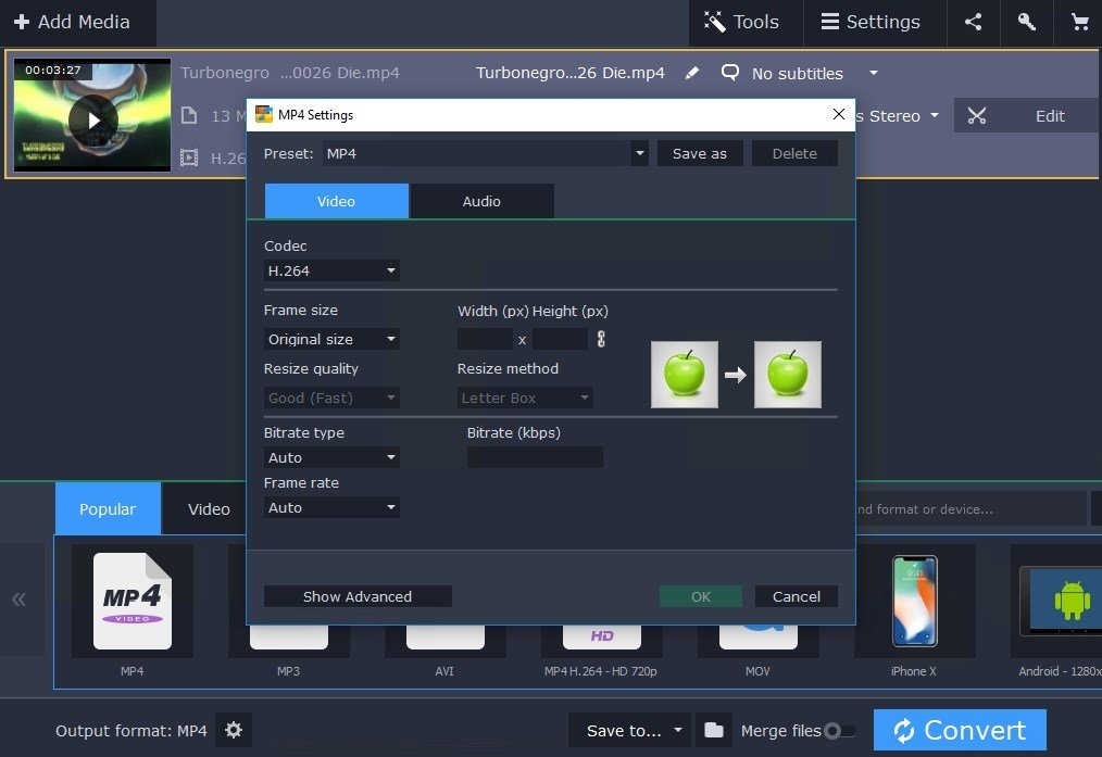 movavi video converter software