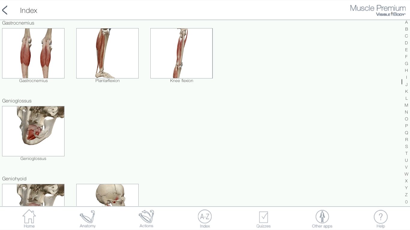 Buy muscle premium: 3d visual guide for bones, joints & muscles.
