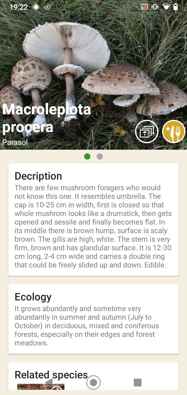 Mushroom Identifier App Android / Build A Fungus Foraging ...