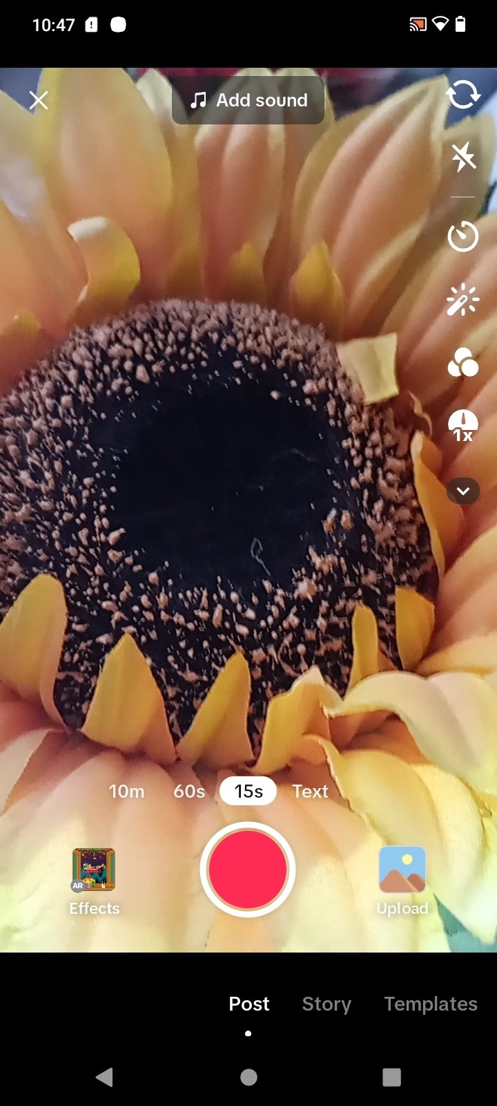 TikTok 21.1.4 - Télécharger pour Android Gratuitement