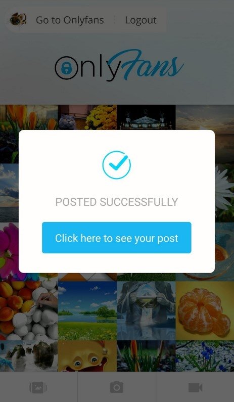 Es onlyfans app que Instagram copiaría
