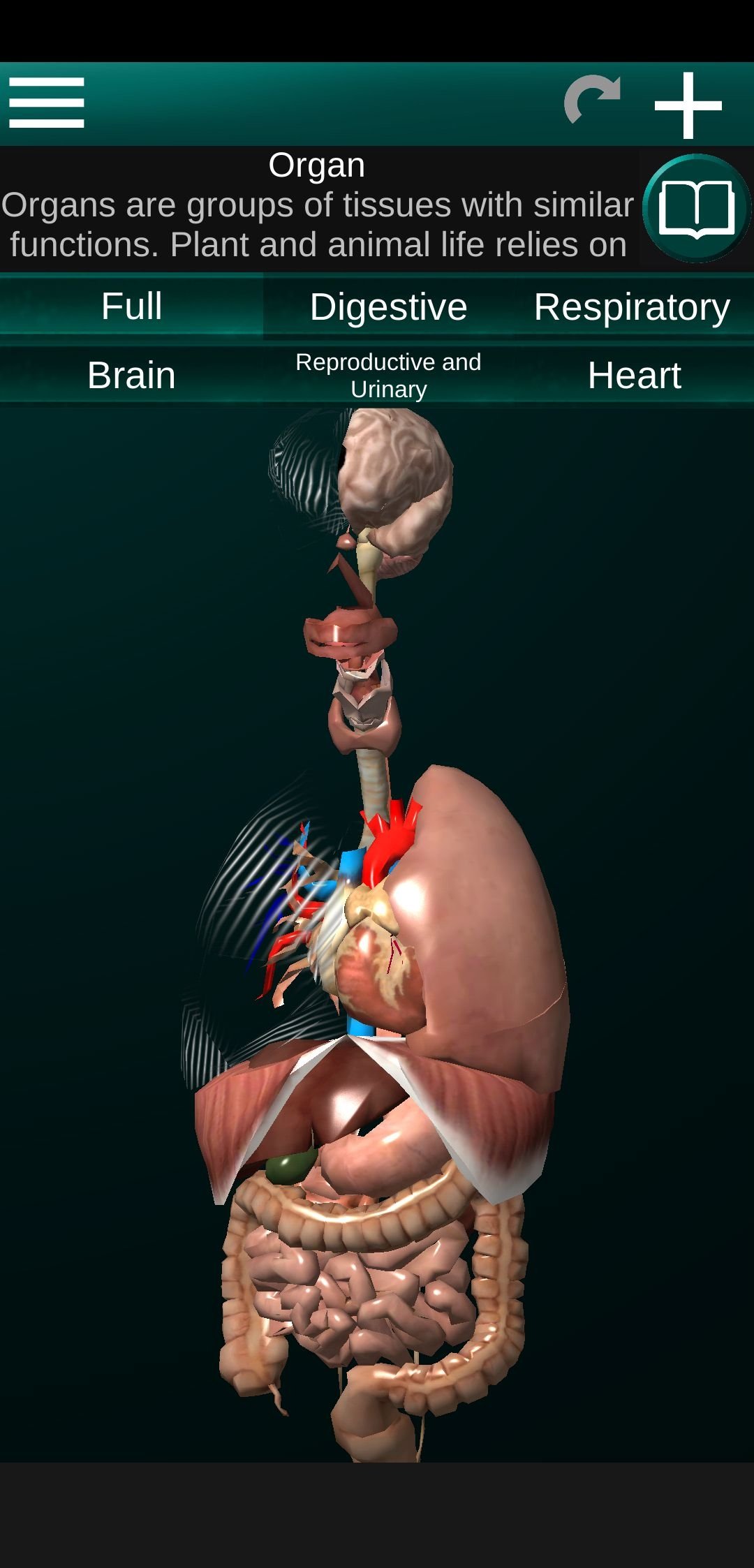Internal Organs in 3D Android