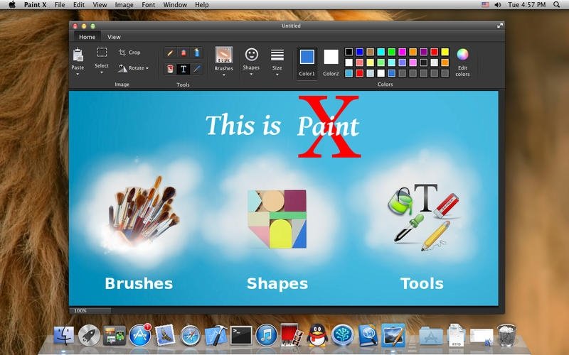 free paint application for mac