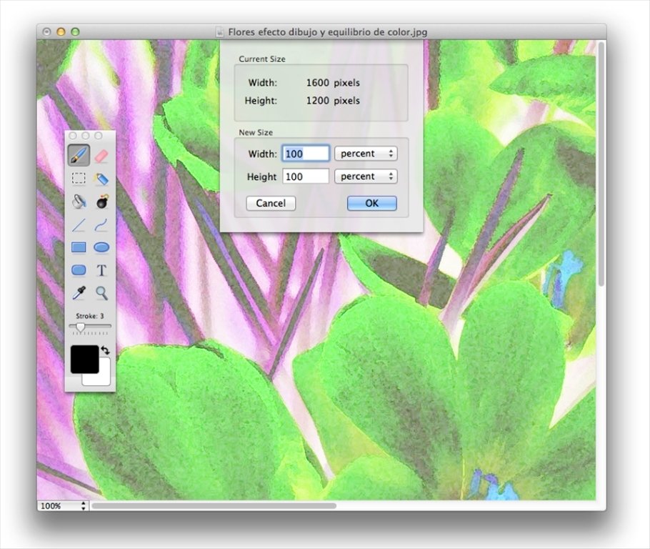 how to draw selection paintbrush mac