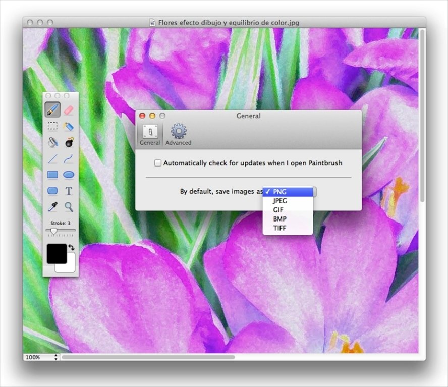 download paintbrush for mac free