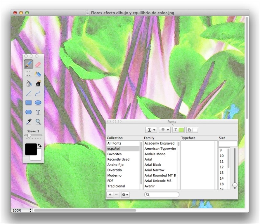 paintbrush mac resize image